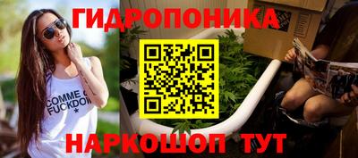 стаф Обь